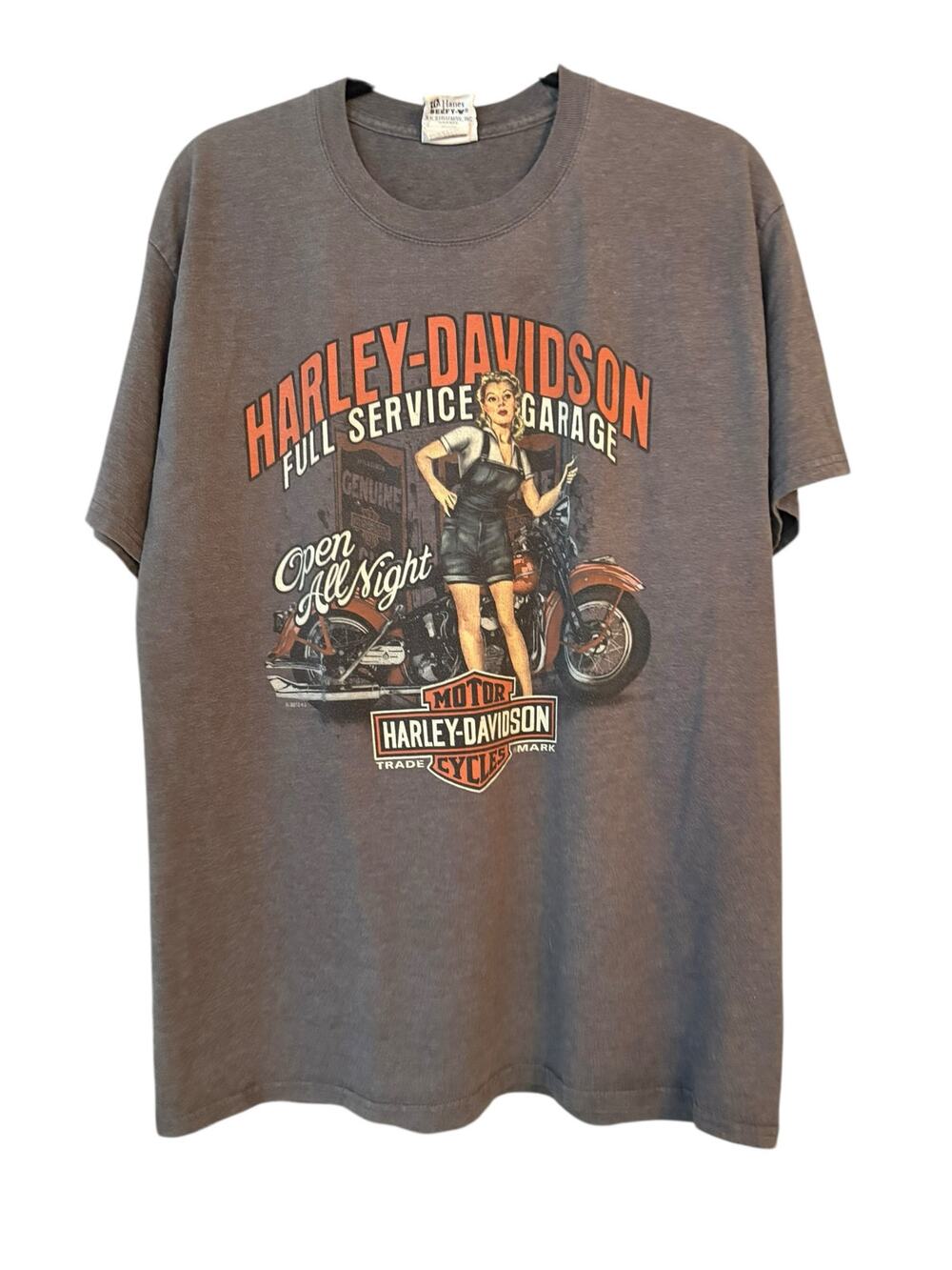 Harley Davidson Graphic T-shirt Gray Two Sided Sweetwater L Pin-Up CA